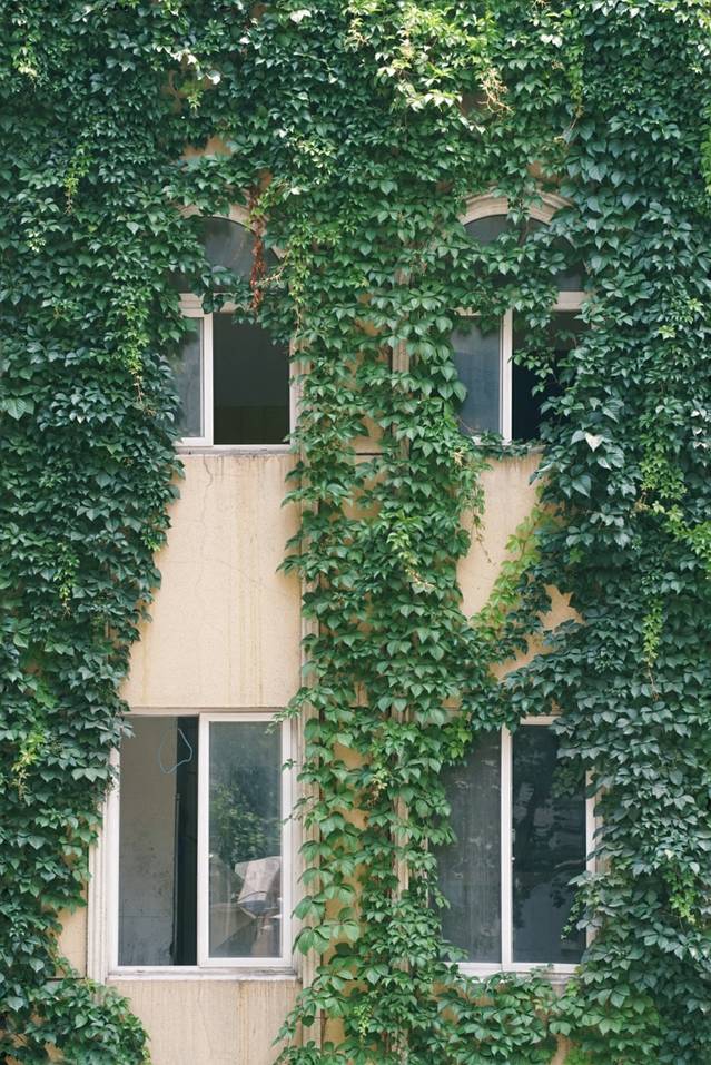 南京石鼓路天主教堂