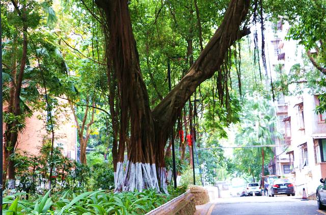 广州美术学院(昌岗校区)