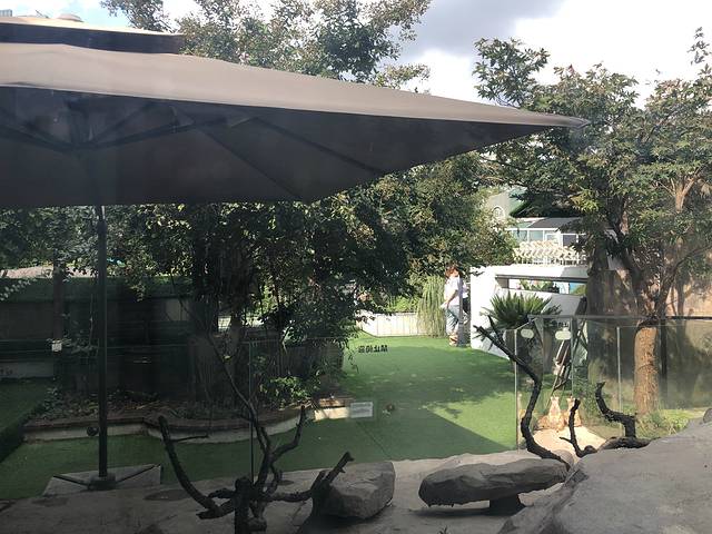 亚马逊公园 萌宠乐园