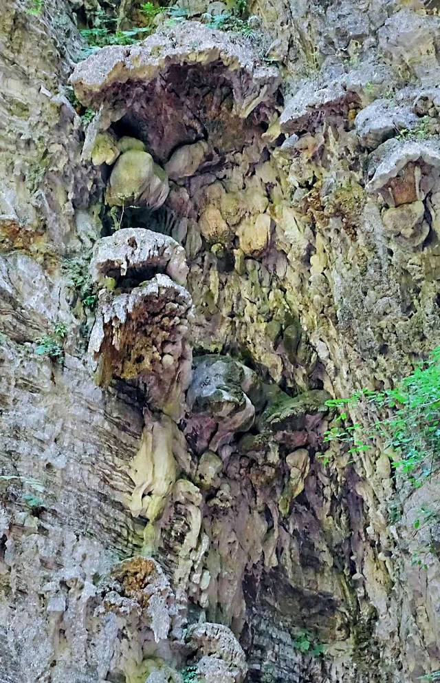 乌江黎芝峡旅游景区