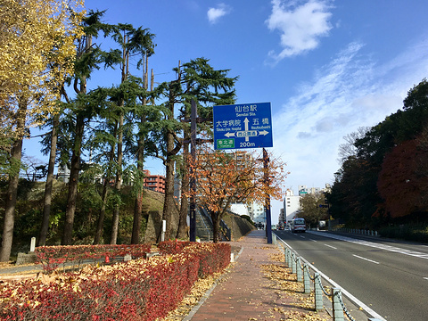 仙台城旅游景点图片
