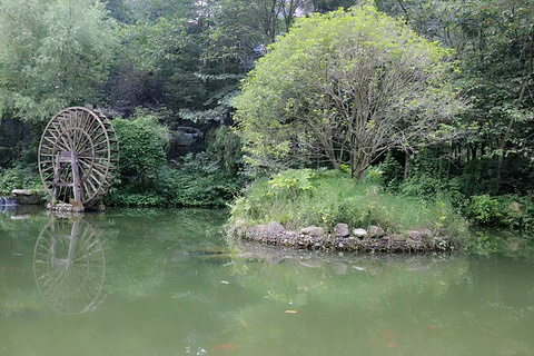 金鞭溪大峡谷旅游景点攻略图