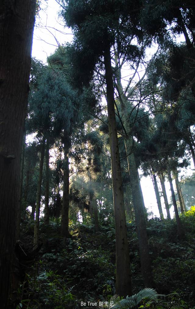 玉屏山森林度假区