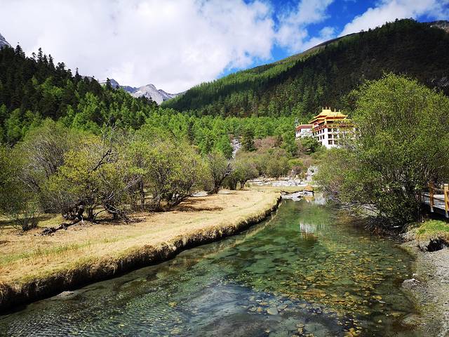 稻城亚丁-冲古草甸