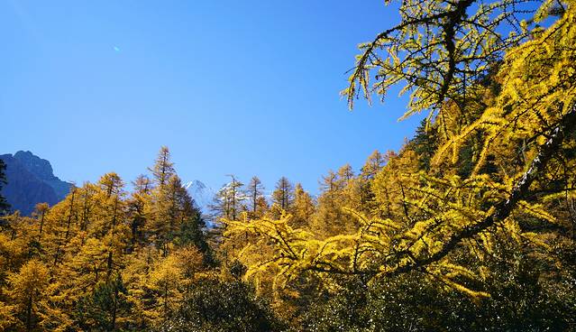 稻城亚丁-扎灌崩