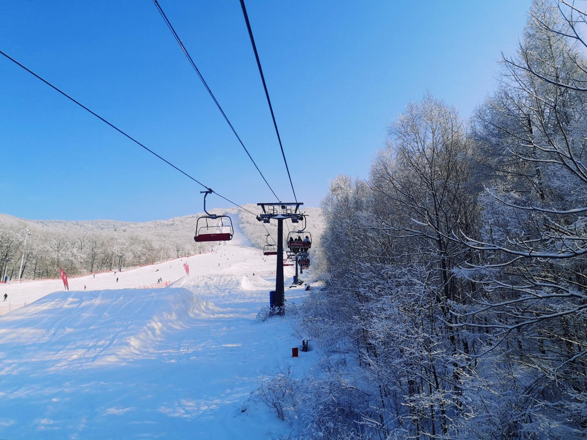 到照金 “趣”滑雪，新雪季八大亮点让你热“雪”沸腾_服务