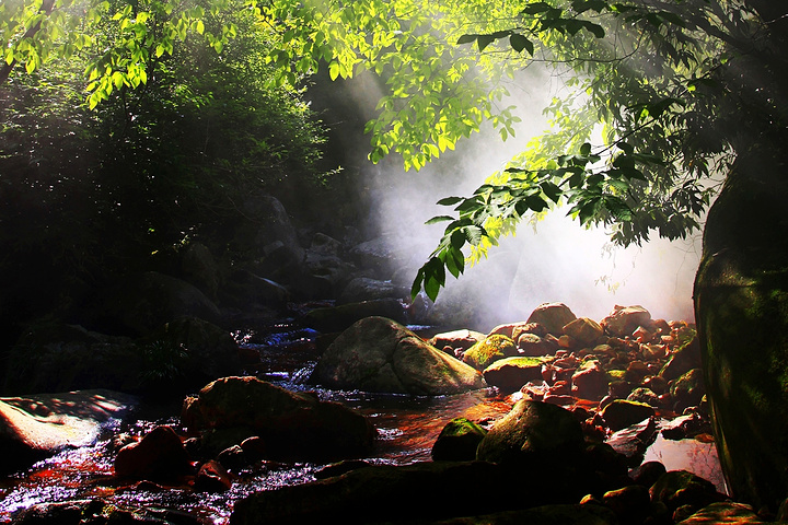 "光雾山|最佳旅游季节是秋季_光雾山旅游景区"的评论图片