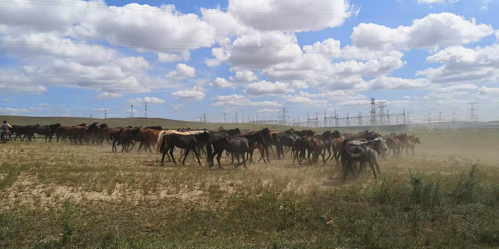 西乌珠穆沁大草原旅游景点图片