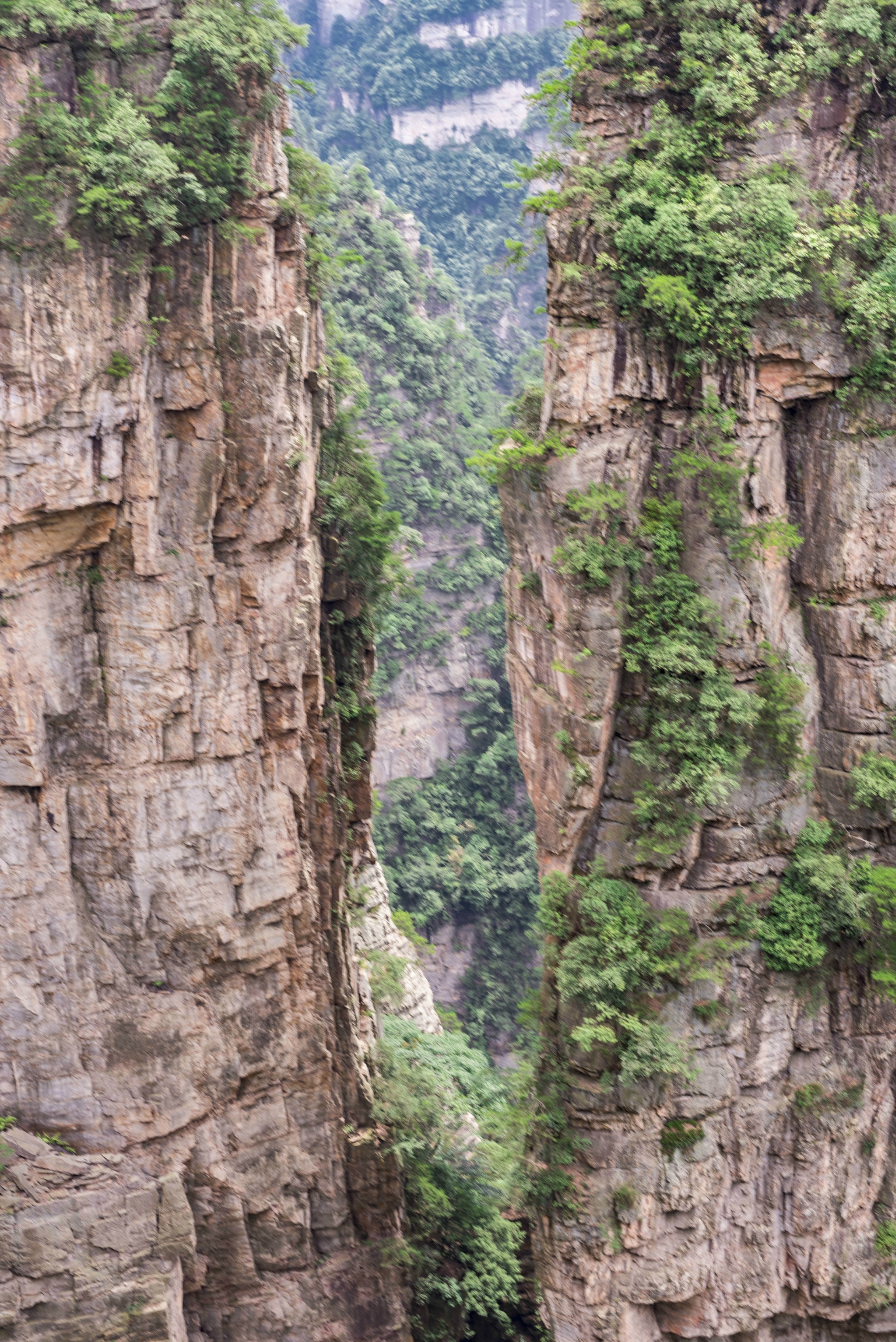 地圖上標準的是哈利路亞山也有乾坤柱的叫法然而最讓大家印象深刻的