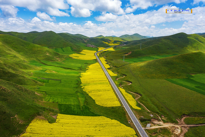 "完全被高山草甸油菜花海包围，尤其路边的上浪坎村，美得可以让人语无伦次，不成为特色旅游风景线简直……木_美仁大草原"的评论图片