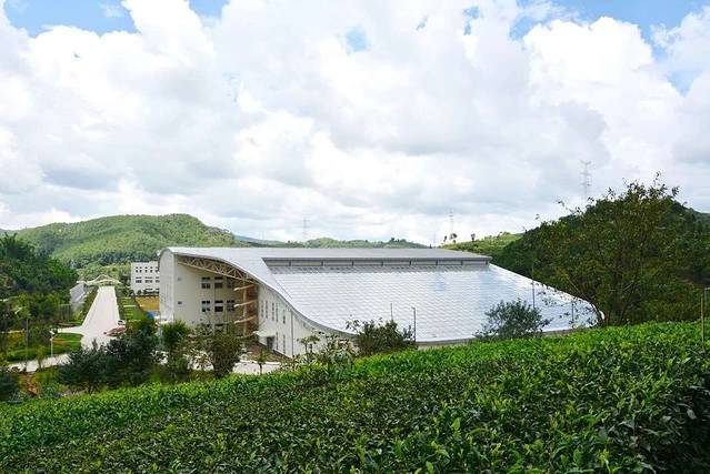 云南天士力帝泊洱生物茶集团有限公司