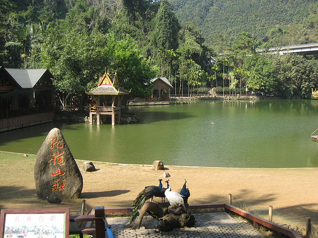 西雙版納比較有名的幾個景點野象谷中科院熱帶植物園原始森林公園傣族