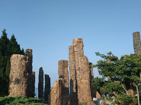 悦海公园旅游景点图片