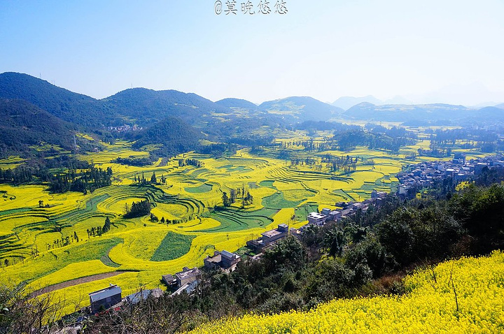 "2月寒意刚刚退去，春节的喜庆蔓延在大街小巷，一份美好的开始就从云南罗平开始吧_罗平油菜花景区"的评论图片