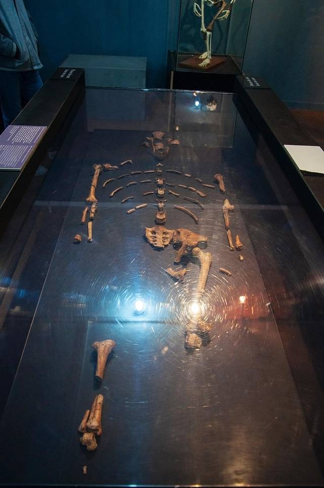 埃塞俄比亚国家博物馆