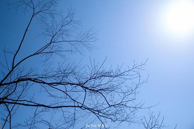 玉屏山森林度假区