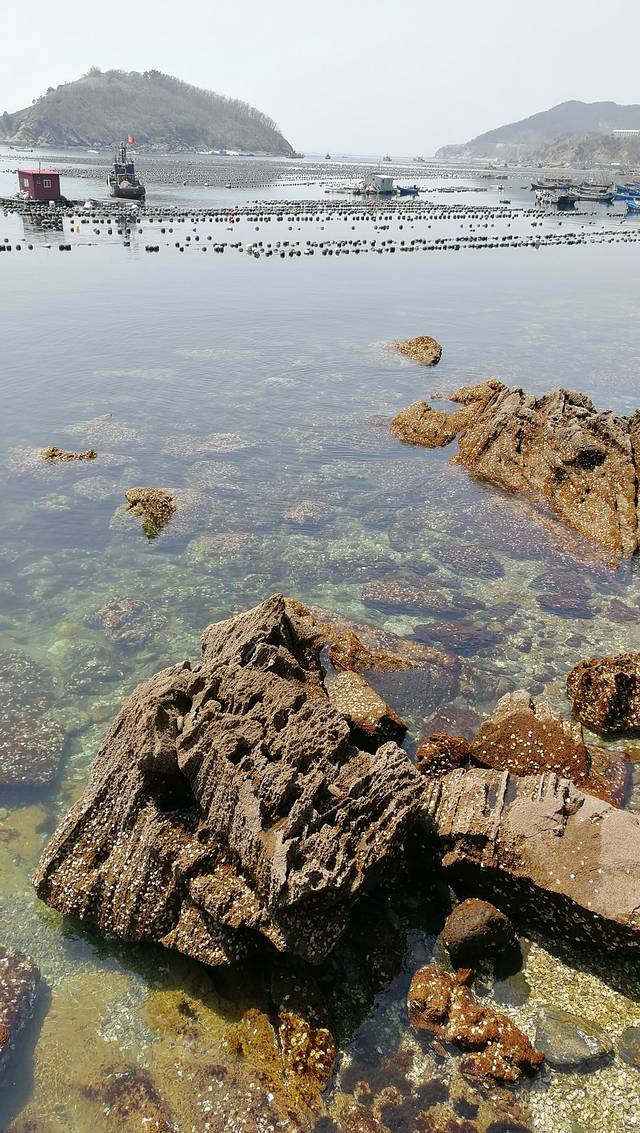 小水口森林公园