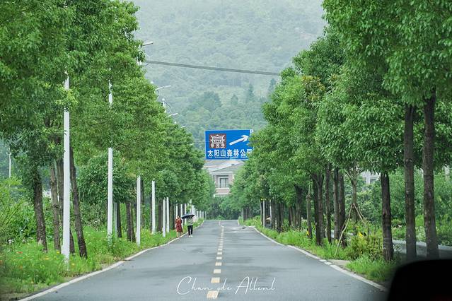 常德太阳山森林公园
