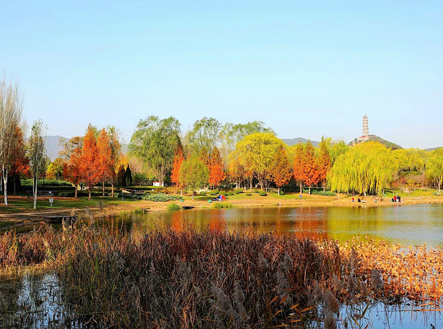 "与颐和园相隔的还有一个北坞公园，位于海淀四季青镇东北部的玉泉山脚下，北坞公园所在地原是北京城乡..._北坞公园"的评论图片