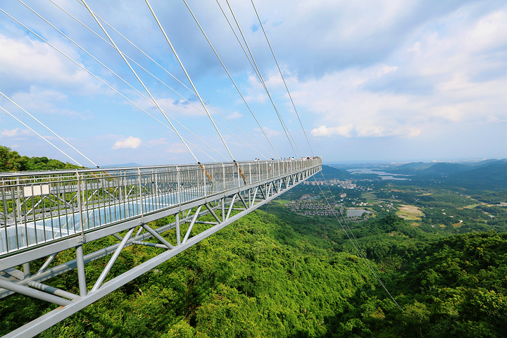 站在呀诺达的天空之境几乎能眺望三亚全景特别的漂亮另外在这里我还第
