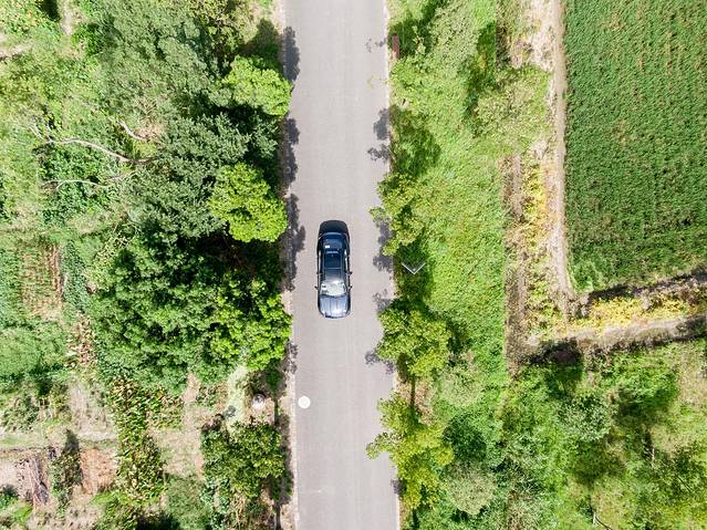 广富林郊野公园