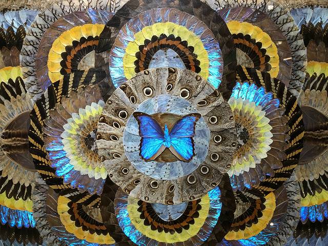 上海昆虫博物馆