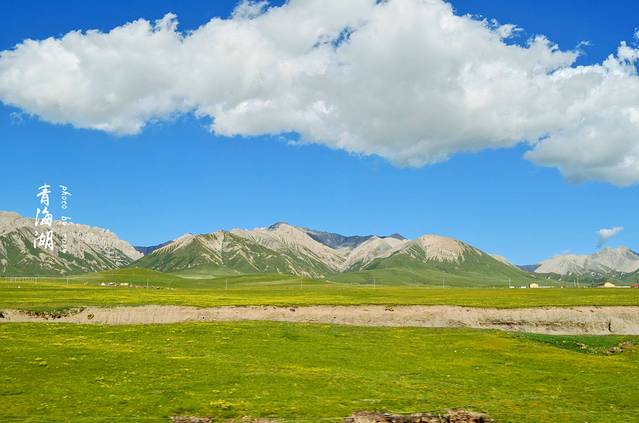青海刚察草原