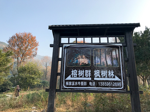杨家溪旅游景点攻略图