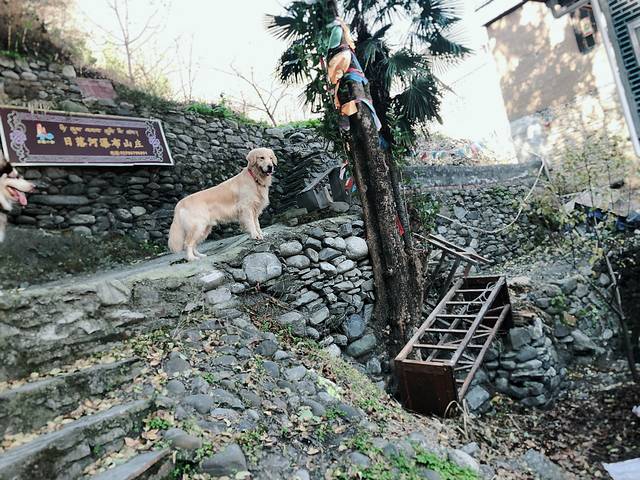 理县甘堡藏寨景区
