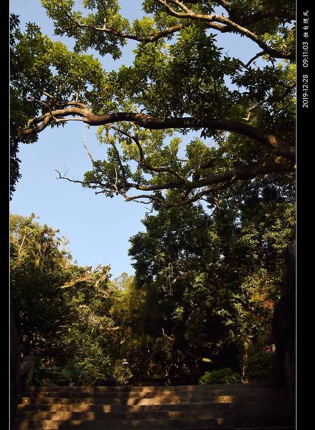 罗浮山风景名胜区-朱明洞景区