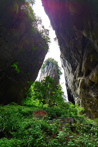 "雄伟奇特的峰林景观在岩溶地貌中十分罕见，可谓“奇峰异石大观园”_湖北恩施黄鹤桥野三河"的评论图片