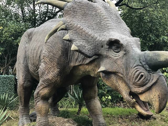 顾村公园自然谷恐龙乐园