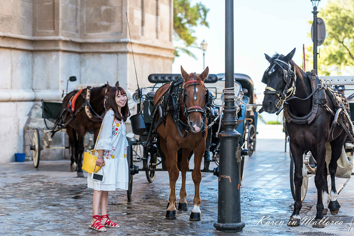 2019马略卡岛游玩攻略,马略卡岛交通\/住宿\/行程