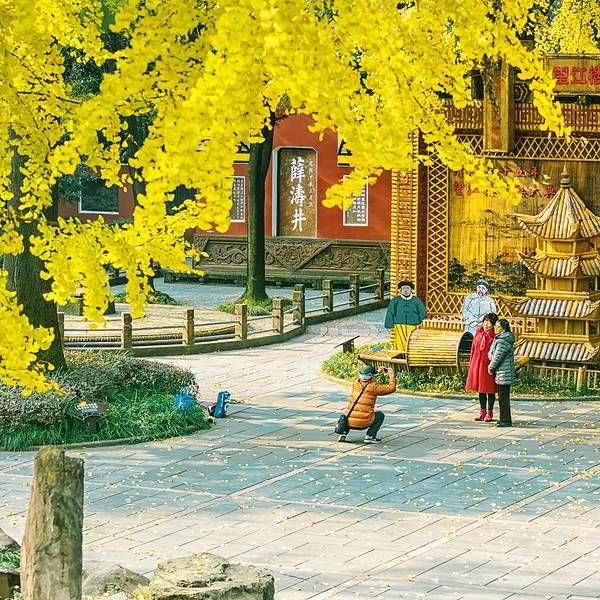 望江公园游览路线 978e503201c58d26240e1e58b9aac86d.jpg_600x600x70_9cb7a303.jpg