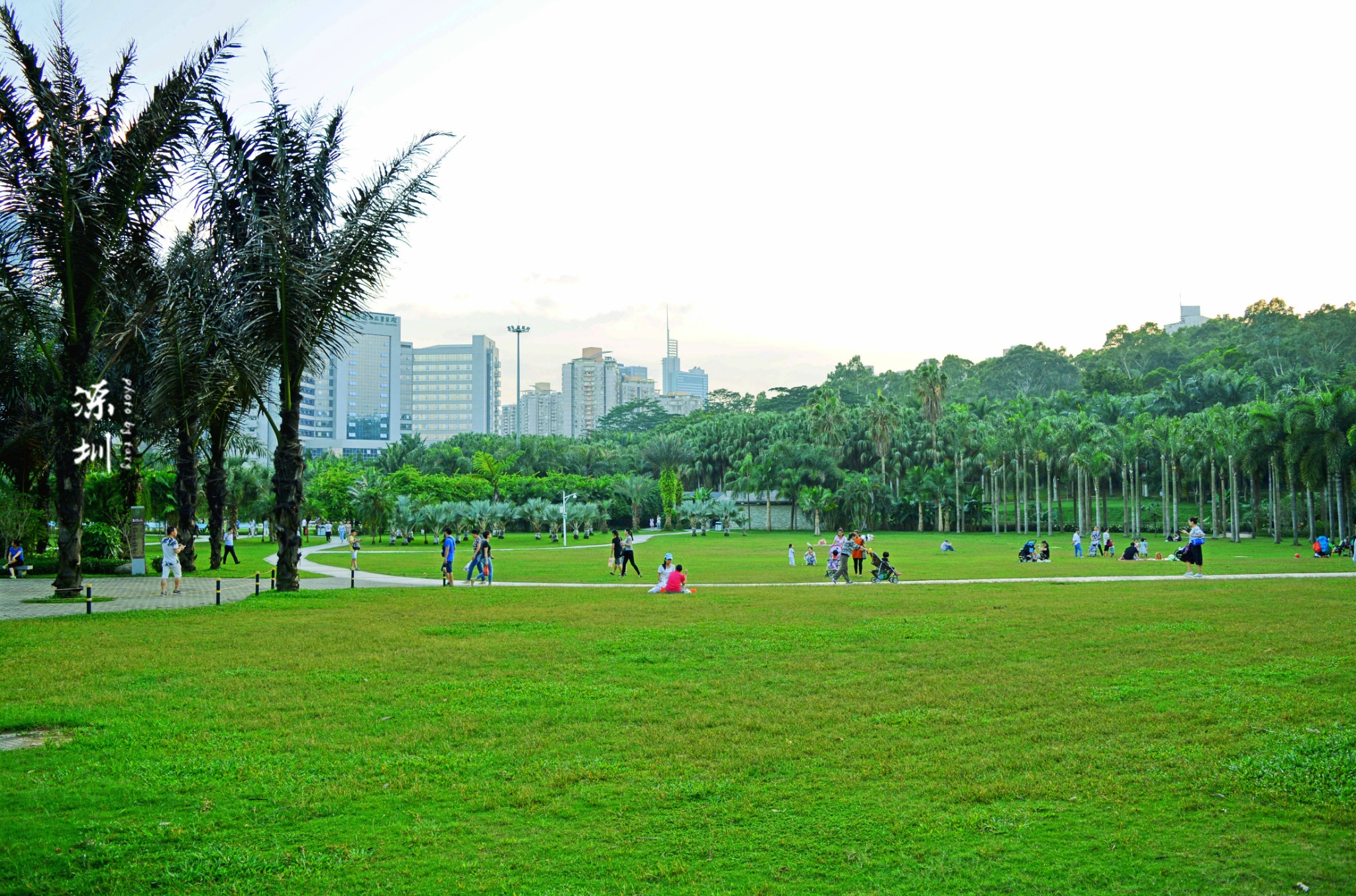 2023莲花山公园游玩攻略,山顶广场可以俯览整个市中心...【去哪儿攻略】