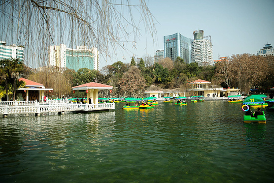 绵阳市人民公园旅游景点图片