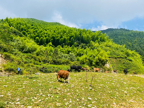 云和梯田景区旅游景点攻略图