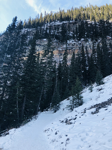 "雪积的很深，不知道转弯会是什么景色。官方导览图，上山的那条是登山徒步路线。哪个角度都感觉好美。合影_露易丝湖"的评论图片