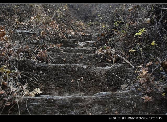 霞云岭国家森林公园