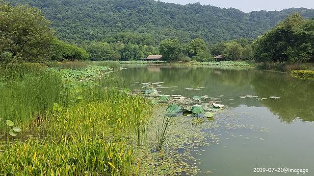 八卦田遗址公园