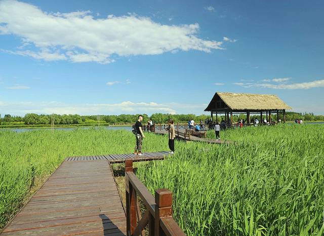 大运河森林公园