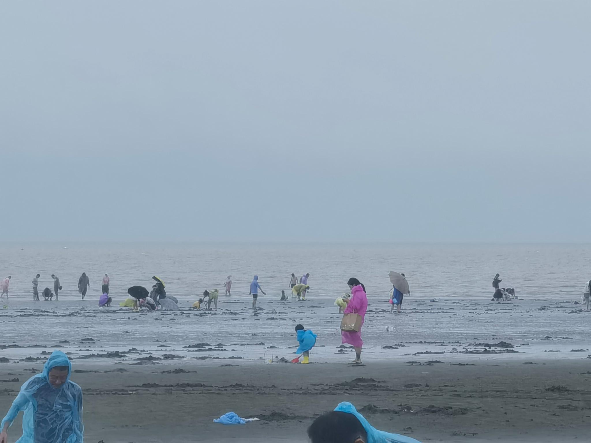 启东一日游玩-启东旅游攻略-游记-去哪儿攻略