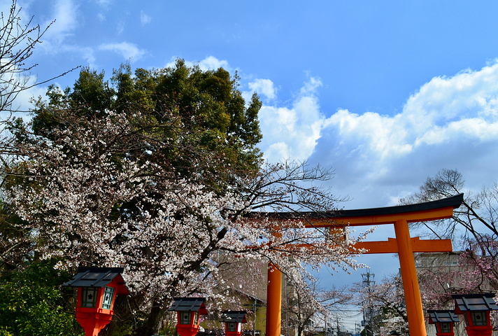 "平野神社的樱花当时还是半开。来到殿前要先摇一下铃铛，告诉神灵我们来参拜啦_平野神社"的评论图片