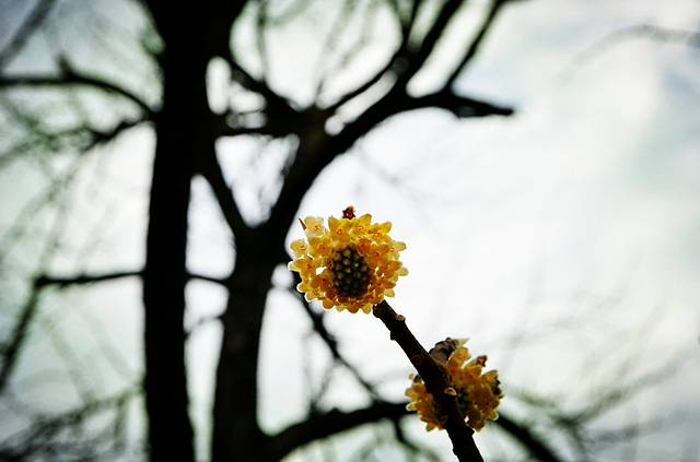 中国碧城世界地质公园陈峭景区