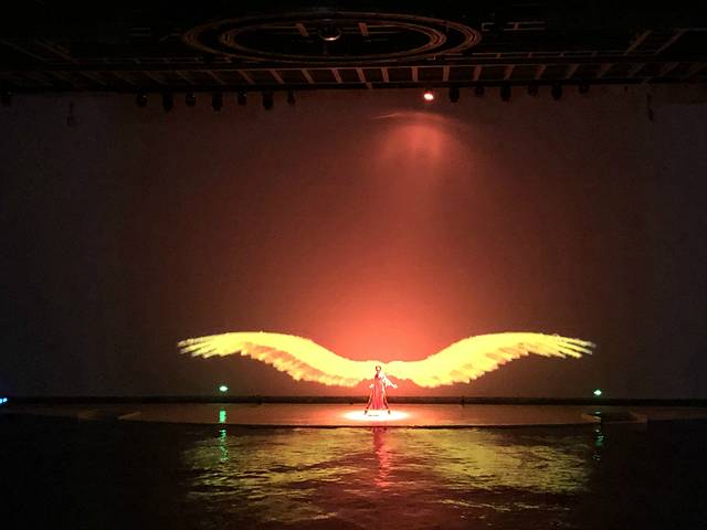 《海豚奇缘》演出