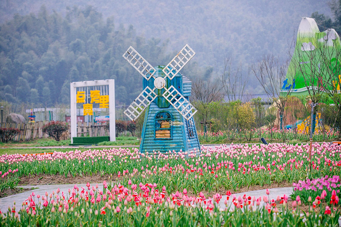 说说这次旅行图片