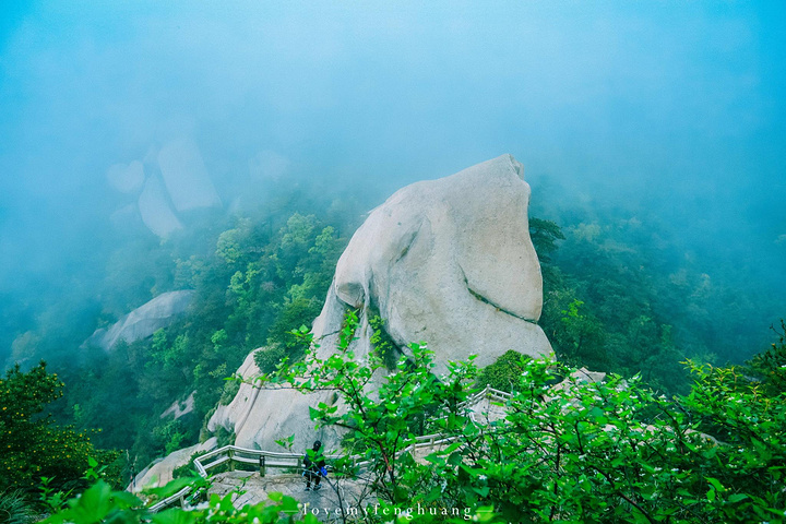 "...，这些远看似古堡魏立的天柱山岩石，在西关群峰垂直节理中非常发育，形成了横看成岭侧成峰的美丽景致_天柱山"的评论图片