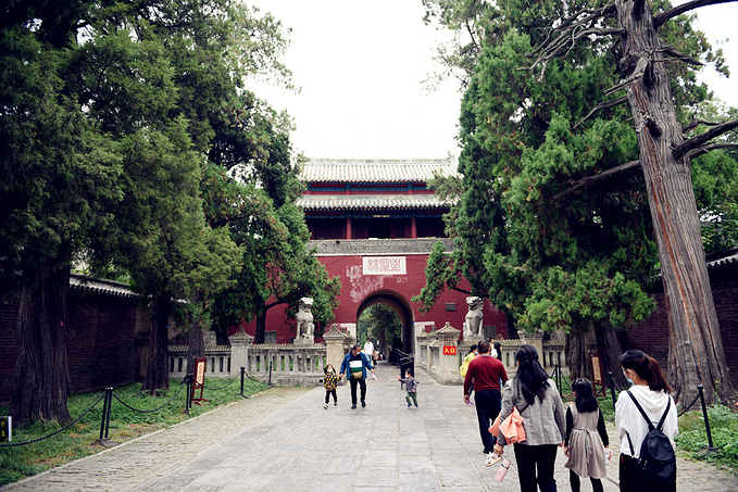 山东曲阜三孔·孔林孔府孔庙