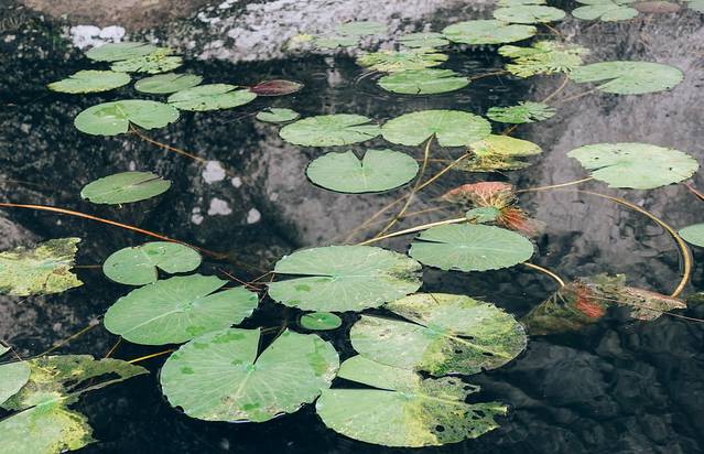 长屿硐天观夕硐景点