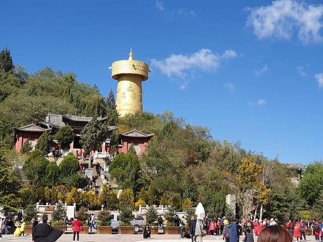 龟山公园"的评论图片